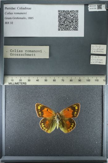 Media type: image;   Entomology 181769